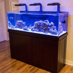 Aquarium Stands